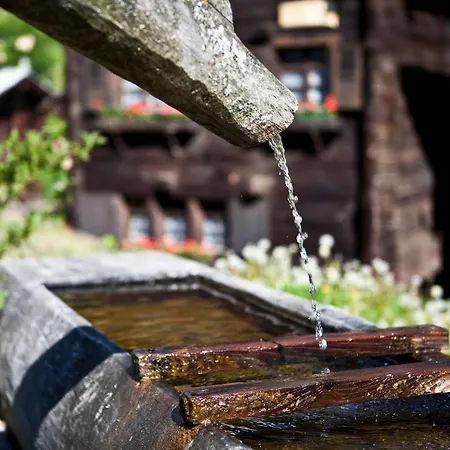 Lejlighed Bergquell Haus A